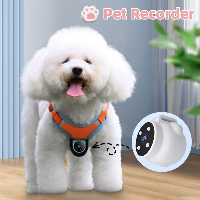 Pet Tracker Collar Dogs And Cats Recording Camera